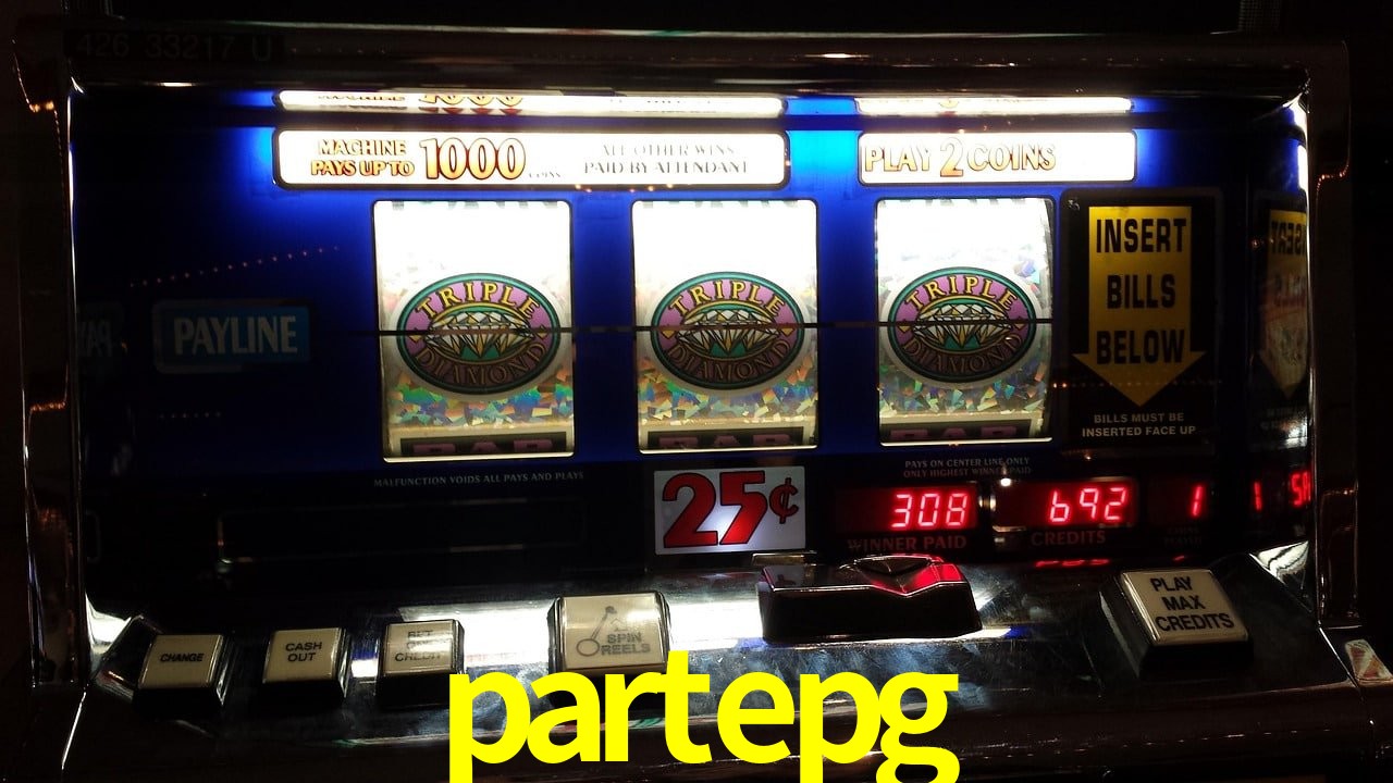 Experiência VIP partepg